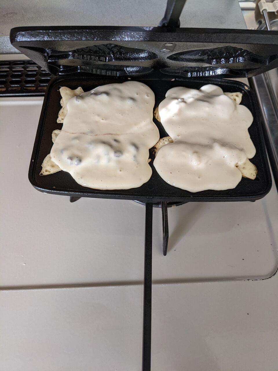OIGEN 南部鉄器タミさんのたい焼き器 : ゆこぶーの食いしん坊万歳