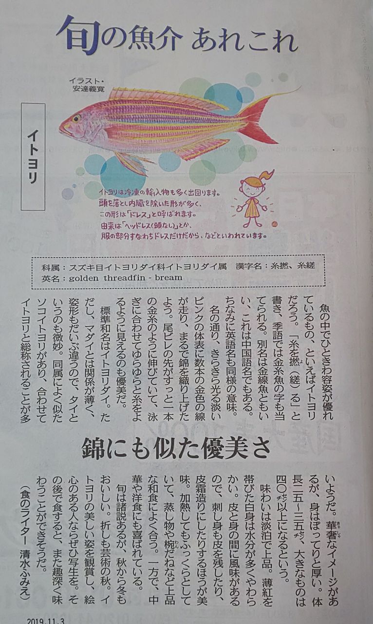 ゆこぶーの食いしん坊万歳 愛知県師崎港釣り47 ヤマトカマス