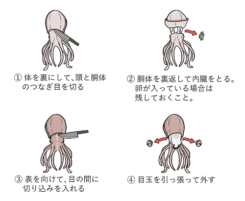 ゆこぶーの食いしん坊万歳 イイダコ料理 ゆこぶーの食いしん坊万歳 イイダコ料理