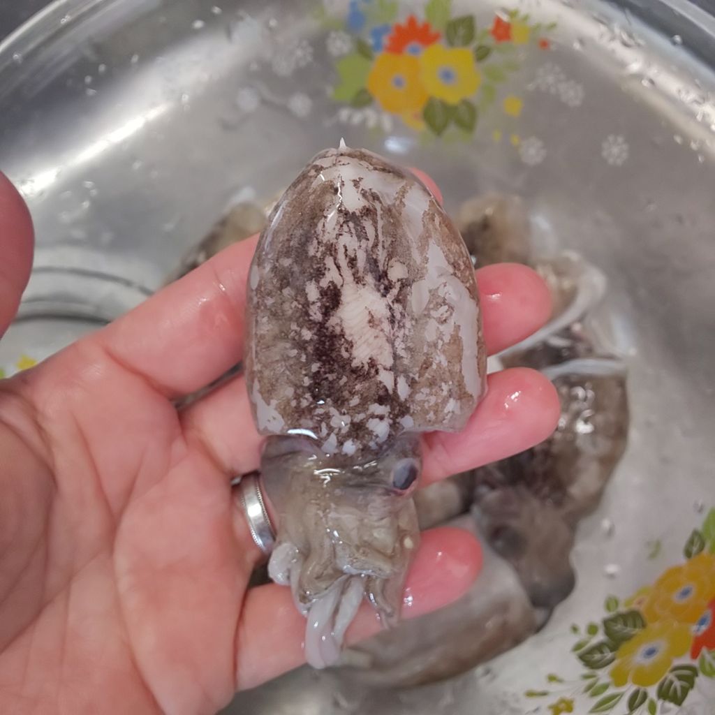 ゆこぶーの食いしん坊万歳 愛知県師崎港釣り38 毒魚ゴンズイ料理 ゆこぶーの食いしん坊万歳 愛知県師崎港釣り38 毒魚ゴンズイ料理