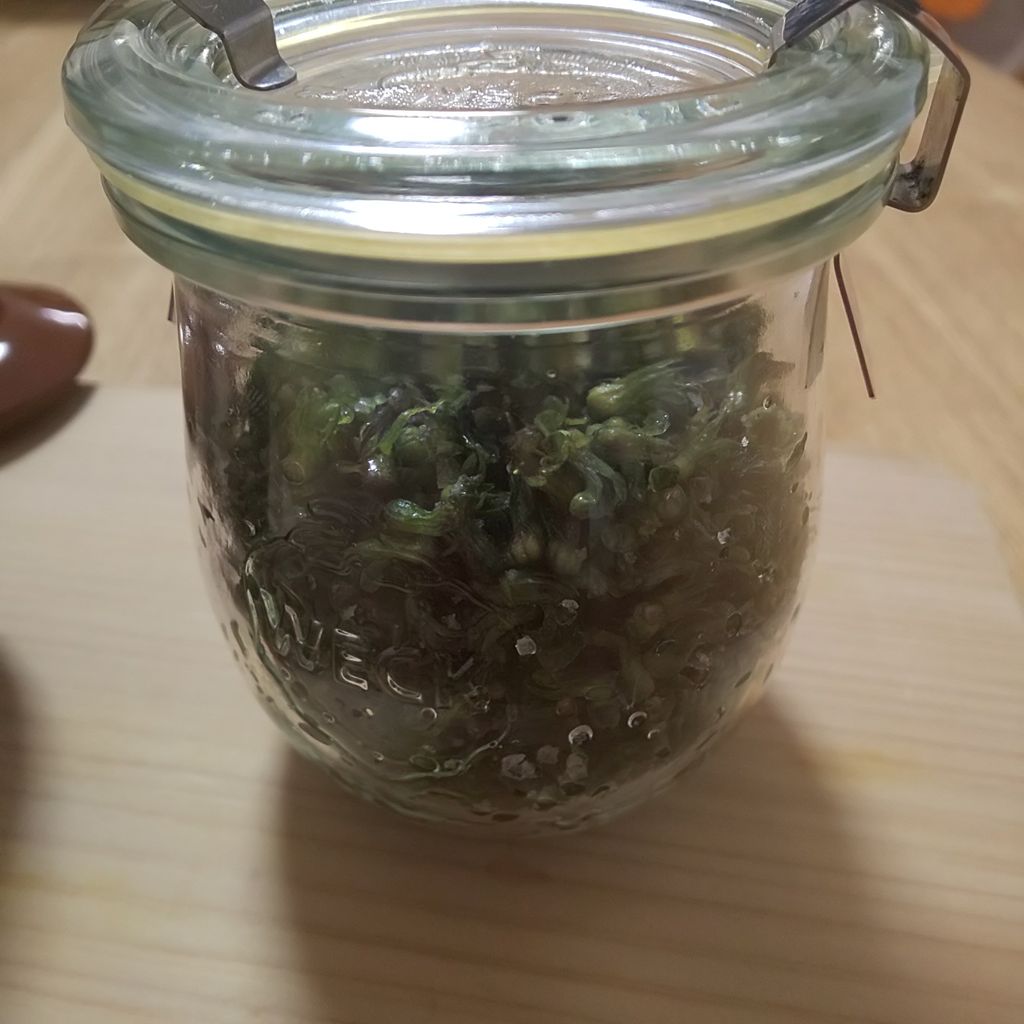 ゆこぶーの食いしん坊万歳 穂紫蘇 ゆこぶーの食いしん坊万歳 穂紫蘇