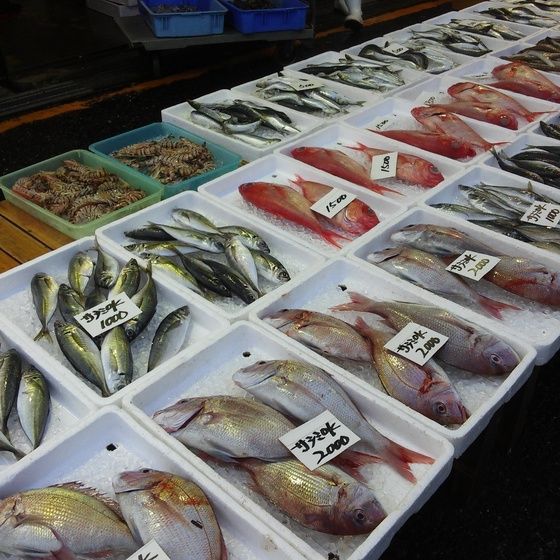 ゆこぶーの食いしん坊万歳 愛知県一色魚市場へgo