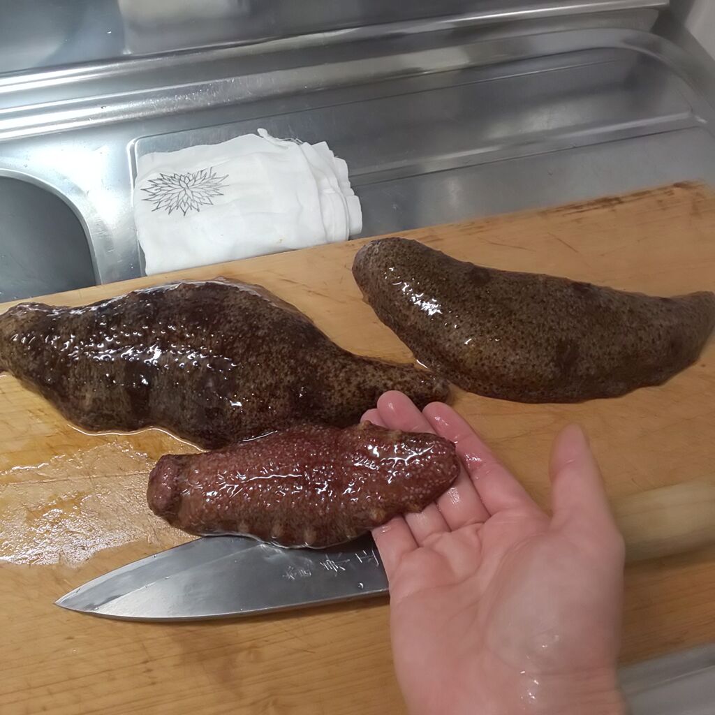 ゆこぶーの食いしん坊万歳 高級食材 自家製干しナマコ