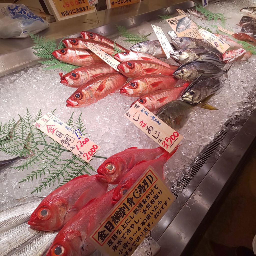 ゆこぶーの食いしん坊万歳 愛知県師崎港28 ゆこぶーの食いしん坊万歳 愛知県師崎港28