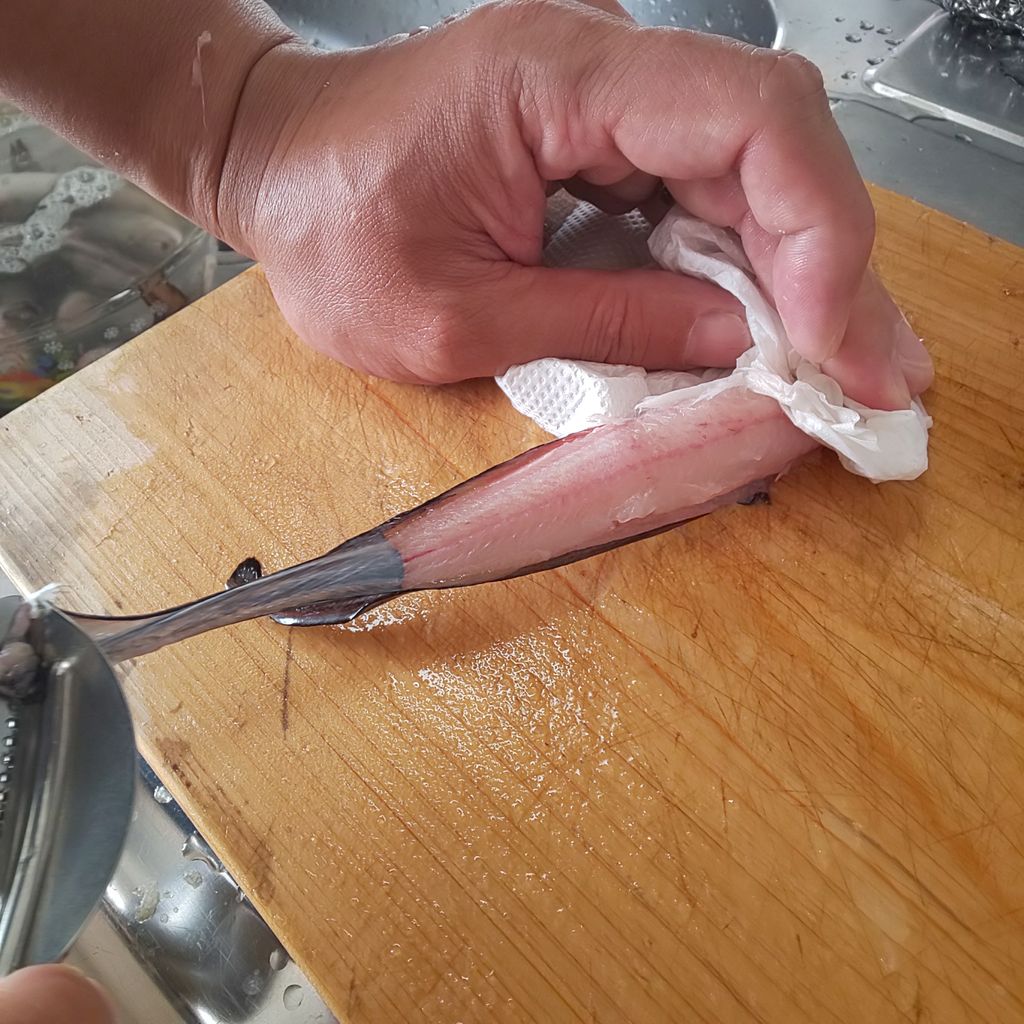 ゆこぶーの食いしん坊万歳 愛知県師崎港釣り38 毒魚ゴンズイ料理 ゆこぶーの食いしん坊万歳 愛知県師崎港釣り38 毒魚ゴンズイ料理