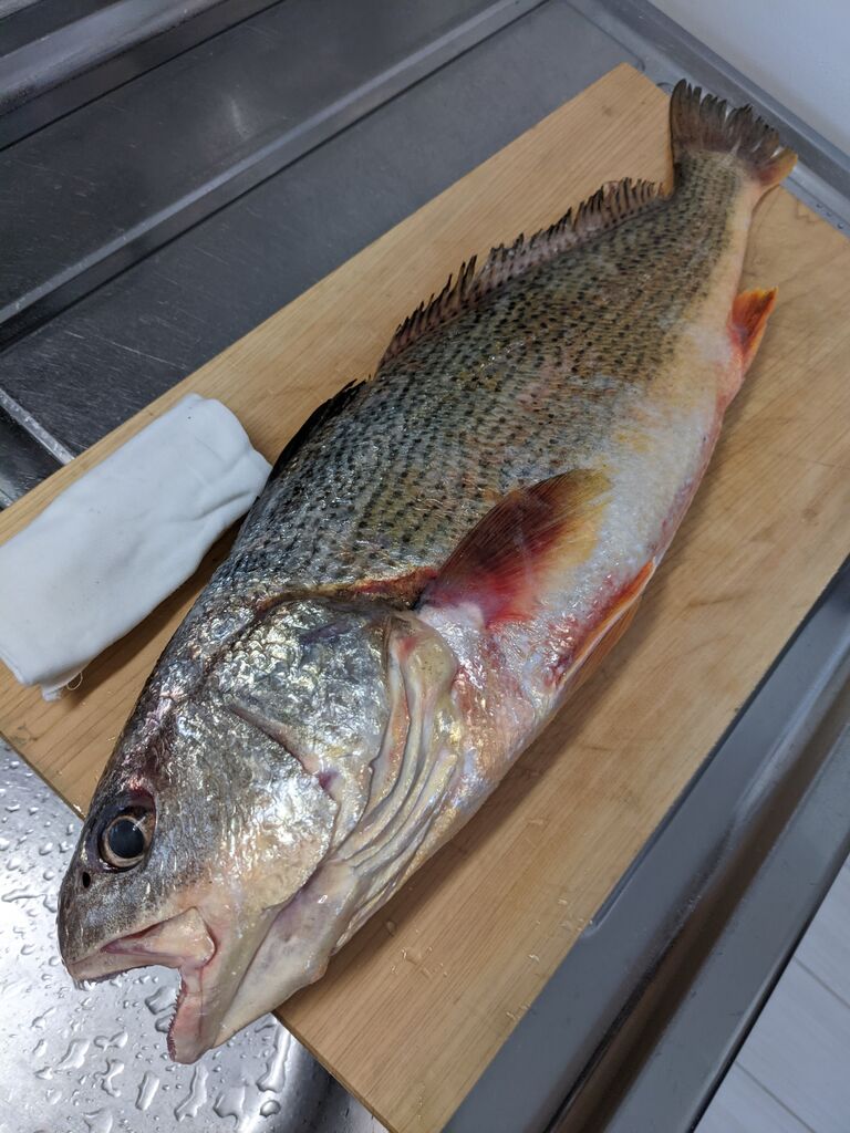 ゆこぶーの食いしん坊万歳 ゆこぶーの食いしん坊万歳