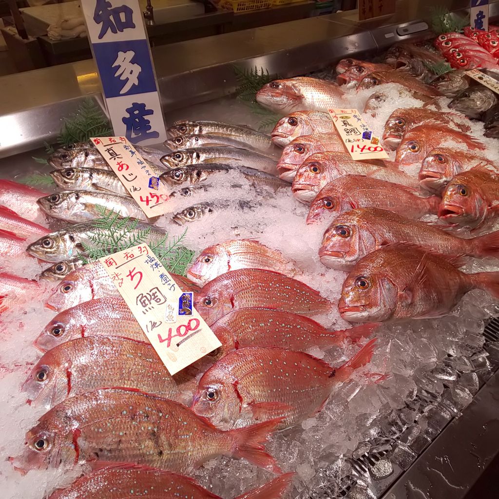 ゆこぶーの食いしん坊万歳 愛知県豊浜漁港 30