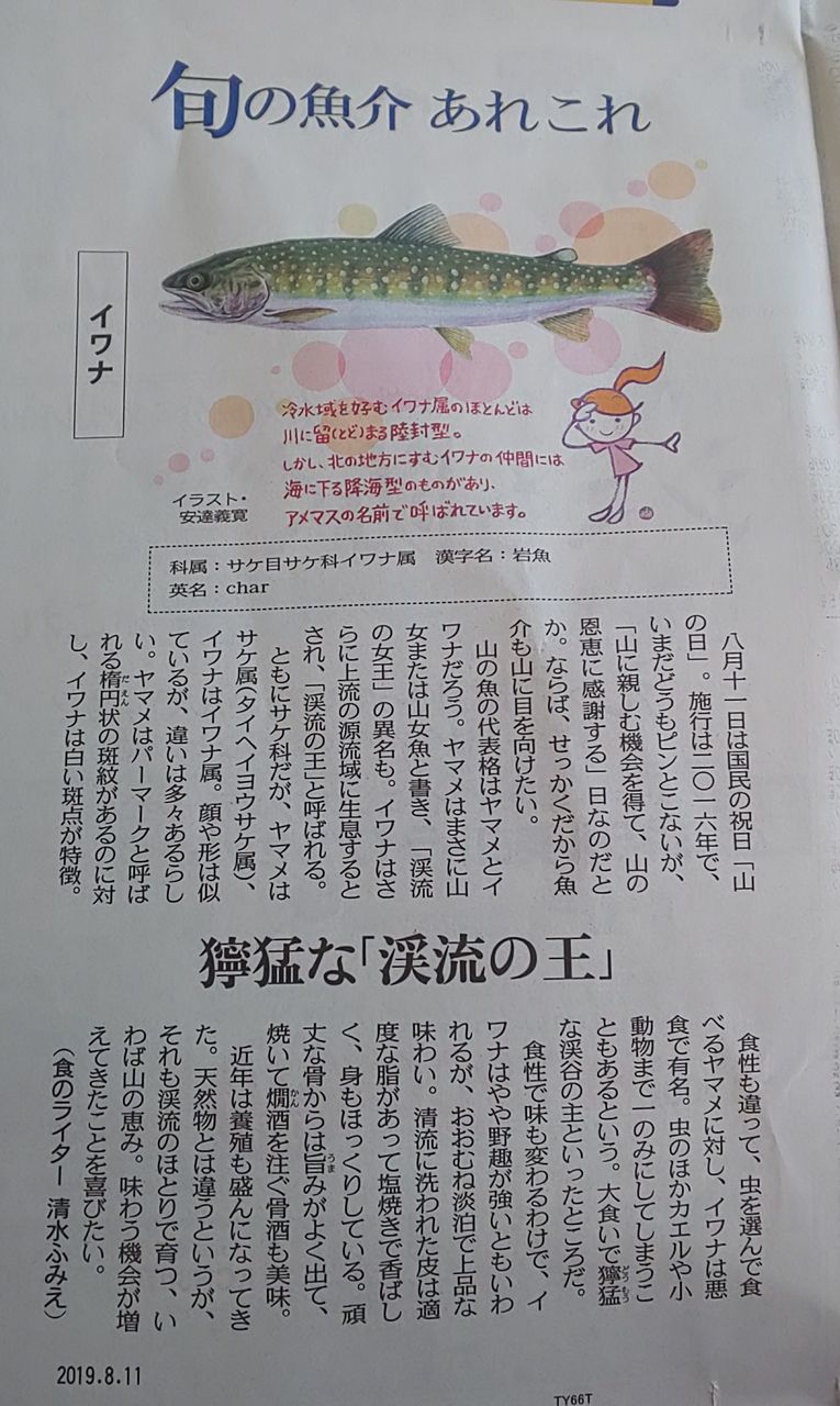 ゆこぶーの食いしん坊万歳 三重県 南伊勢 筏釣り34 アイゴ ゆこぶーの食いしん坊万歳 三重県 南伊勢 筏釣り34 アイゴ