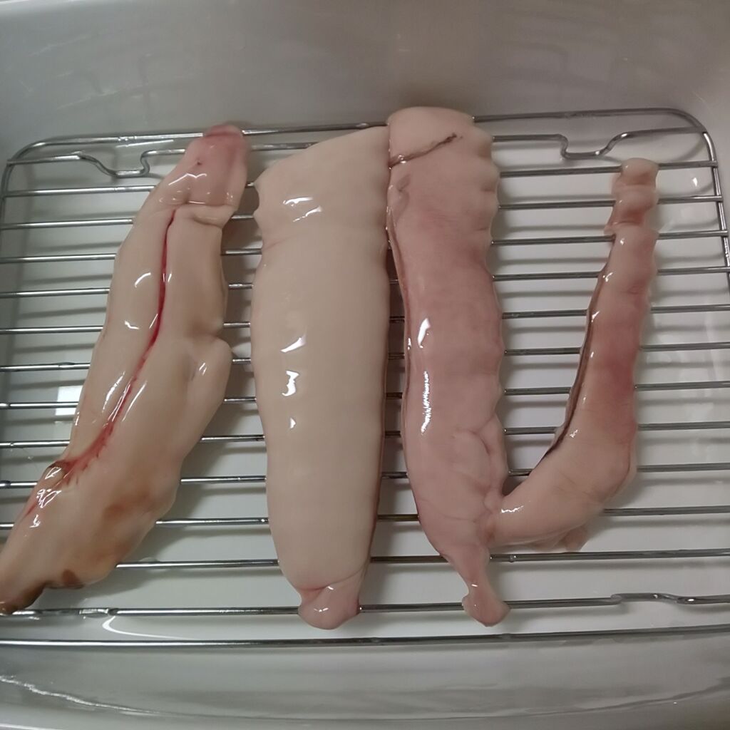 ゆこぶーの食いしん坊万歳 ニシン ゆこぶーの食いしん坊万歳 ニシン