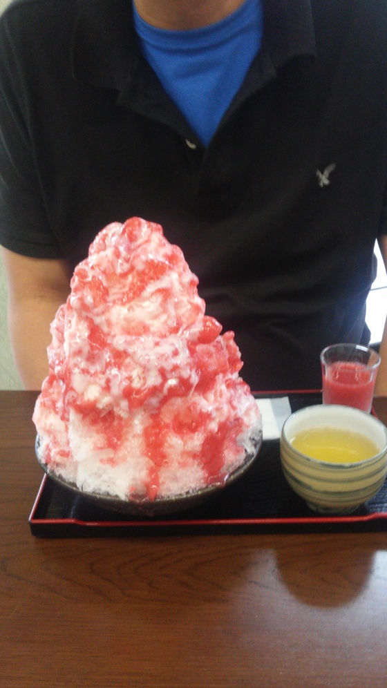 ゆこぶーの食いしん坊万歳 愛知県岡崎市和菓子 葵園 かき氷