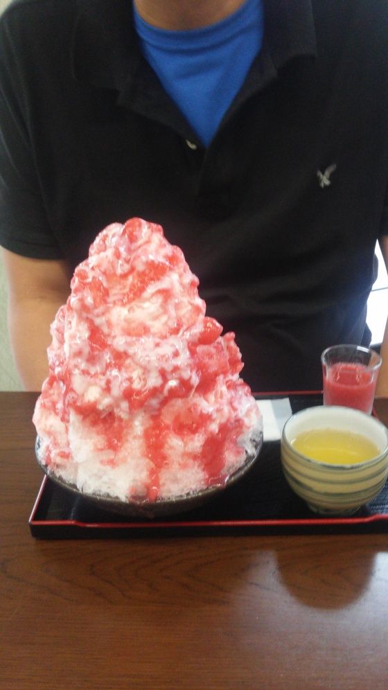 ゆこぶーの食いしん坊万歳 愛知県岡崎市和菓子 葵園 かき氷