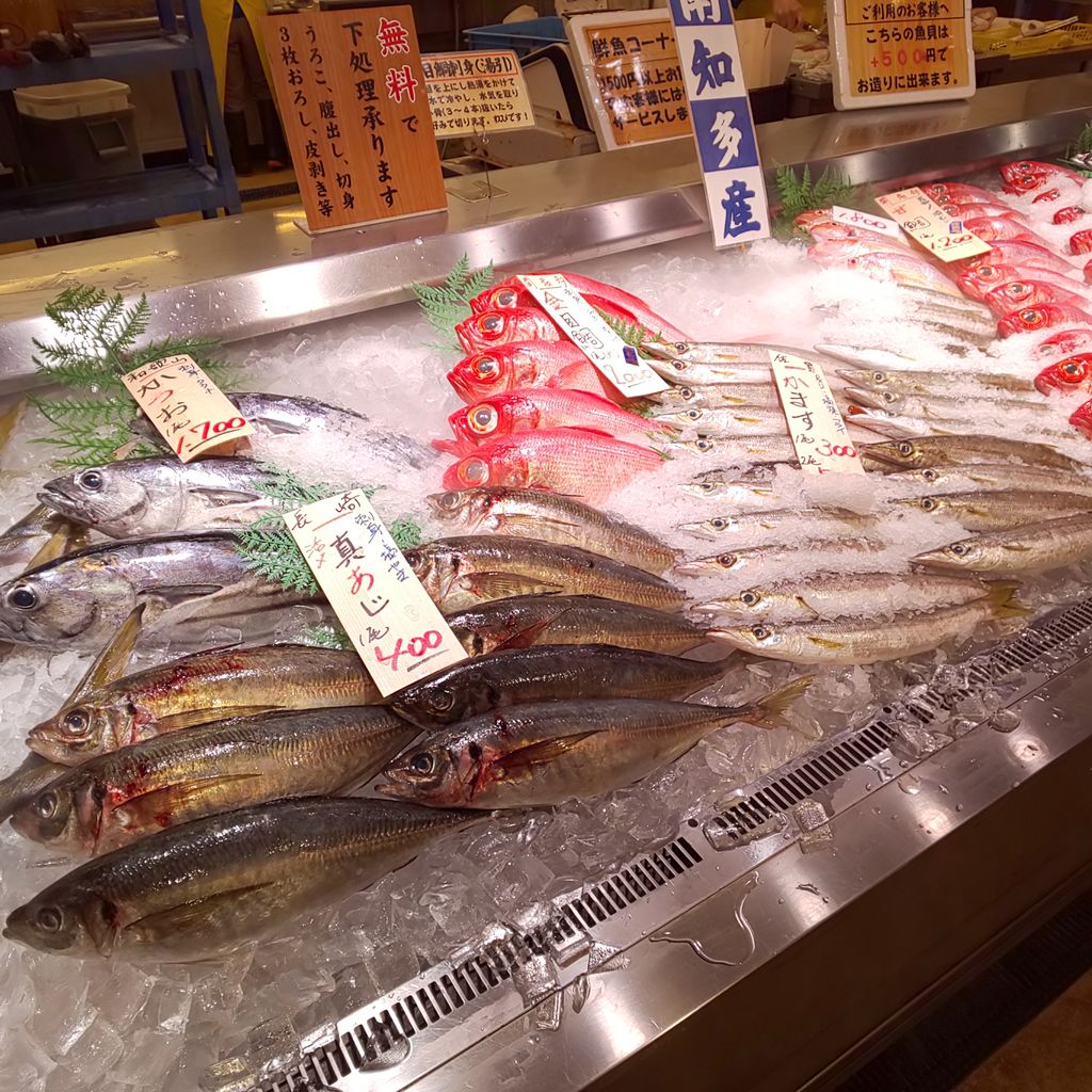 ゆこぶーの食いしん坊万歳 愛知県豊浜漁港 30