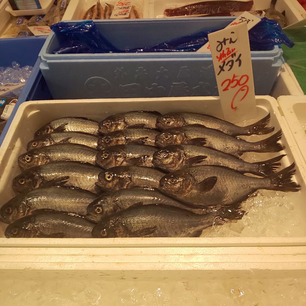 ゆこぶーの食いしん坊万歳 イチミダイ メイチダイ メダイ