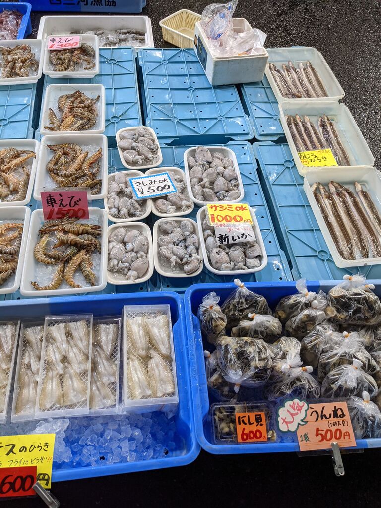 三河 一色 さかな 村