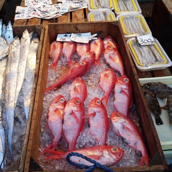 ゆこぶーの食いしん坊万歳 愛知県一色魚市場朝市へgo