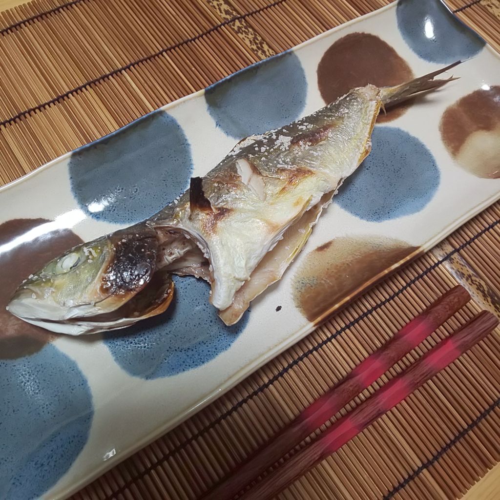 ゆこぶーの食いしん坊万歳 三重県 南伊勢 筏釣り34 アイゴ ゆこぶーの食いしん坊万歳 三重県 南伊勢 筏釣り34 アイゴ