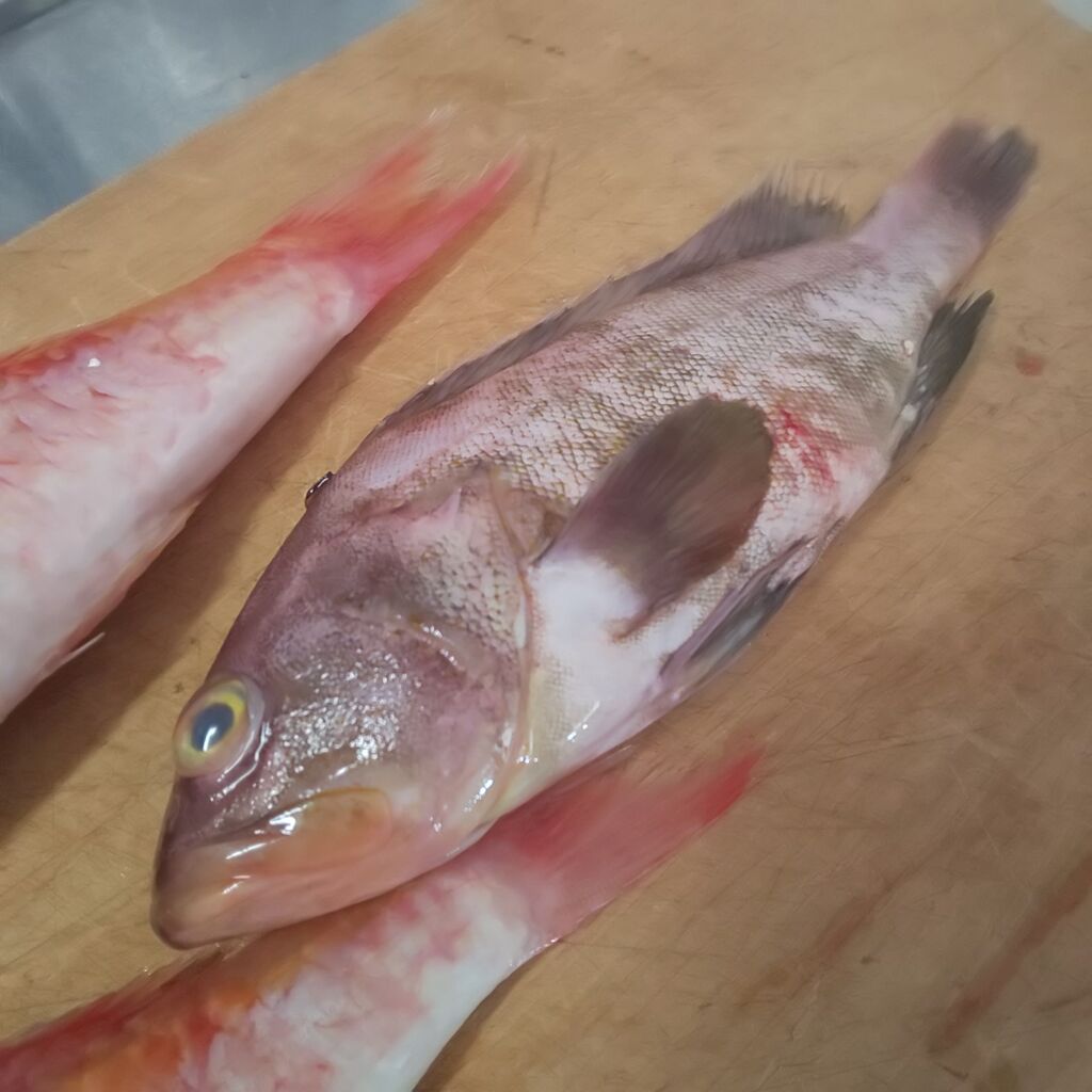 ゆこぶーの食いしん坊万歳 オジサン ゆこぶーの食いしん坊万歳 オジサン