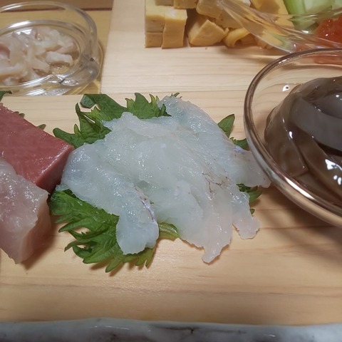 ゆこぶーの食いしん坊万歳 釣り 釣食 ゆこぶーの食いしん坊万歳 釣り 釣食