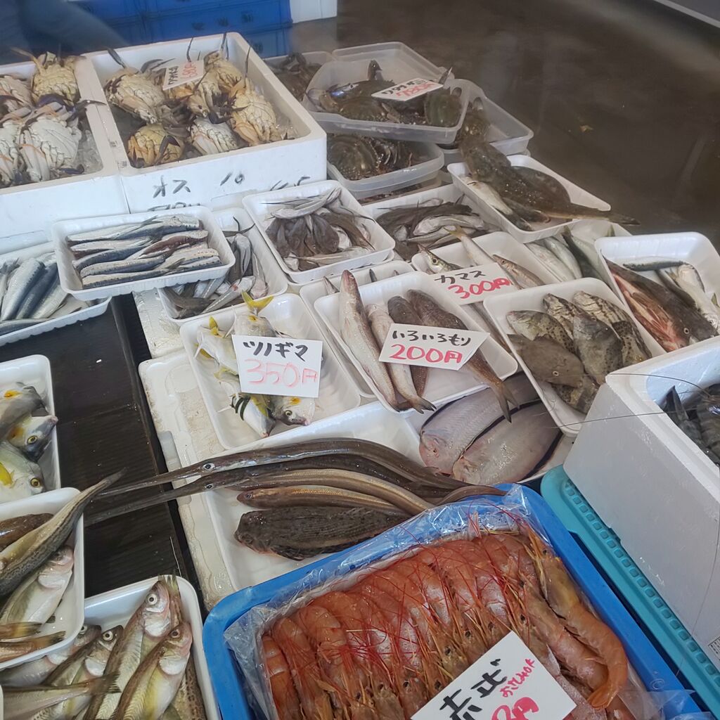 ゆこぶーの食いしん坊万歳 ツノギマ ゆこぶーの食いしん坊万歳 ツノギマ