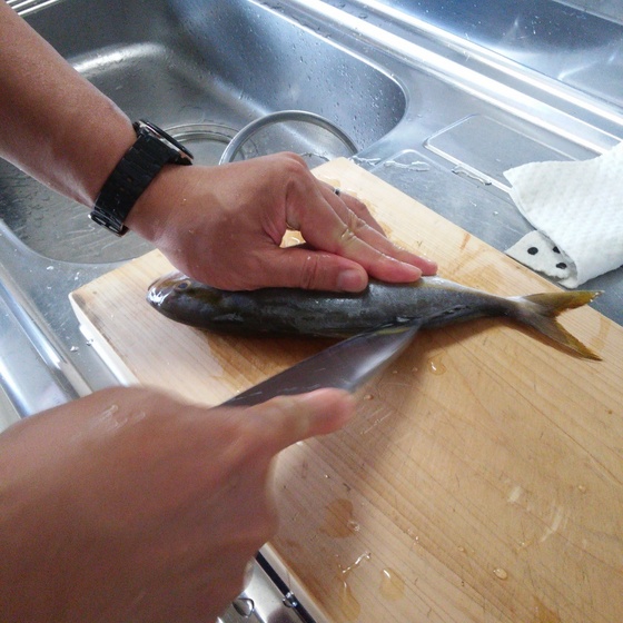 ゆこぶーの食いしん坊万歳 魚シオ