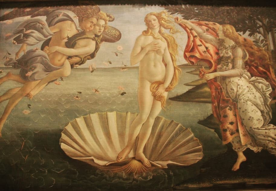 絵画「ほしだから貝」