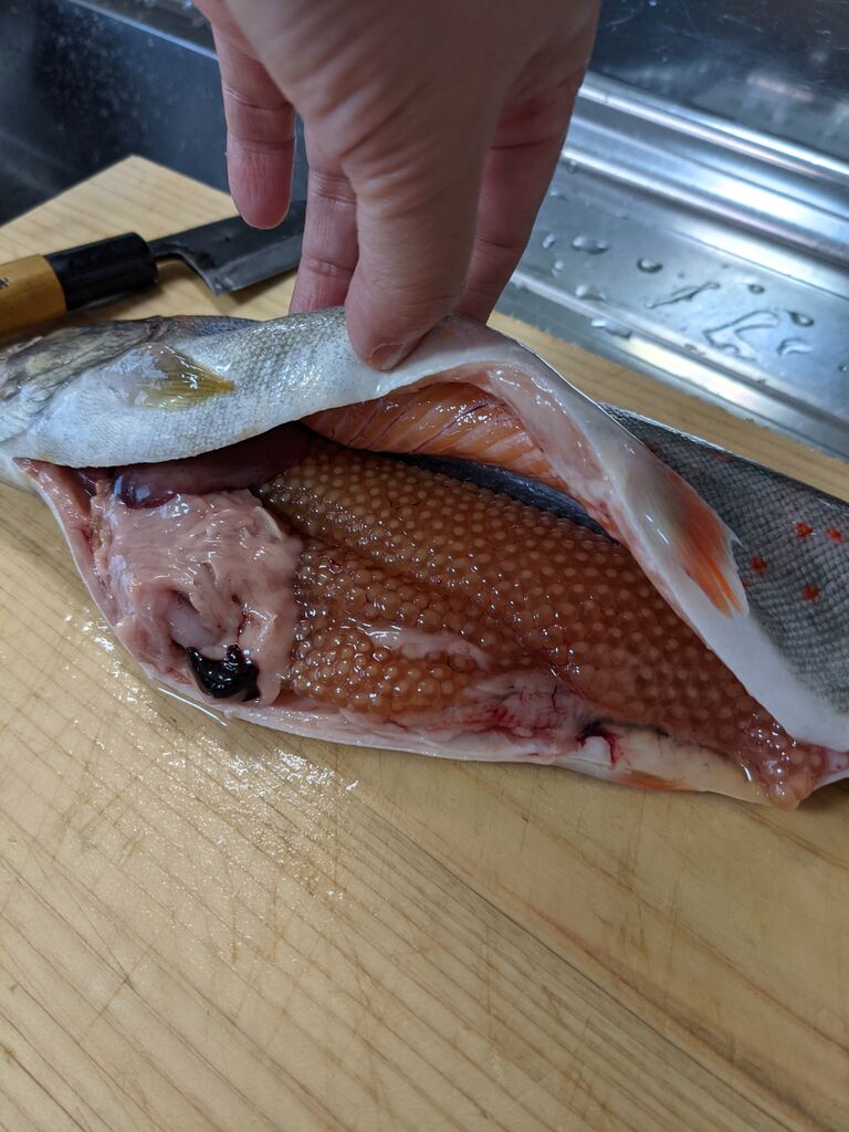 ゆこぶーの食いしん坊万歳 渓流の女王アマゴ 黄金イクラ