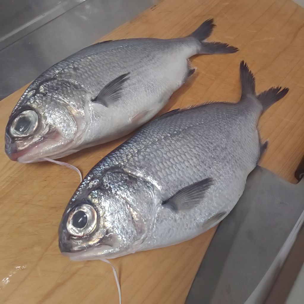 ゆこぶーの食いしん坊万歳 ギンメダイのアクアパッツァ ゆこぶーの食いしん坊万歳 ギンメダイのアクアパッツァ