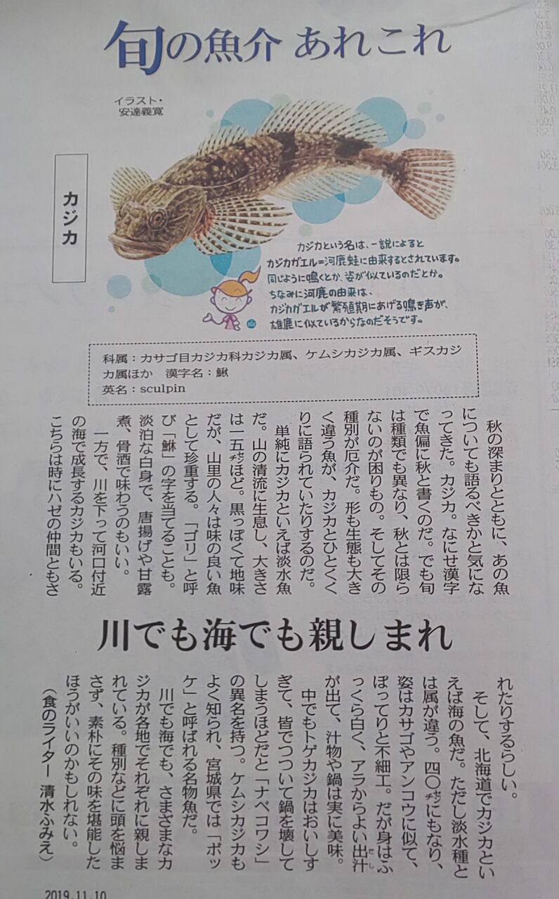 ゆこぶーの食いしん坊万歳 愛知県内海新港釣り49 グレ魚アート寿司