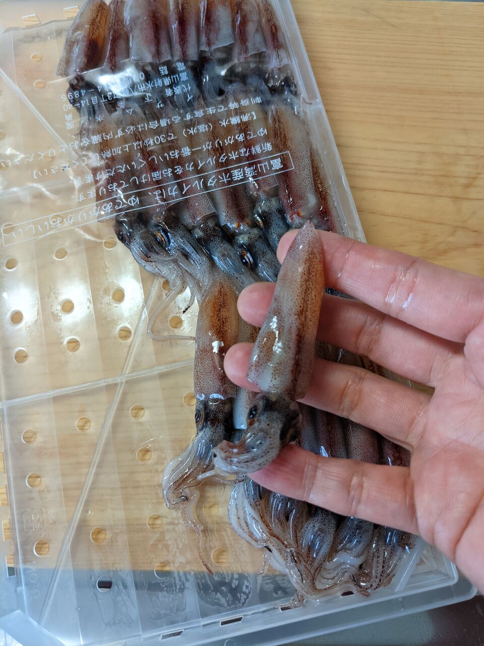 ゆこぶーの食いしん坊万歳 生ホタルイカ沖漬け