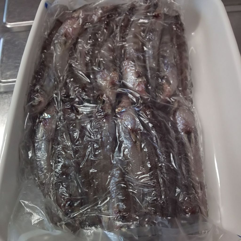 ゆこぶーの食いしん坊万歳 19年05月09日