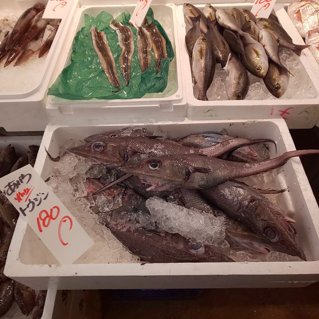 ゆこぶーの食いしん坊万歳 深海魚 トウジン