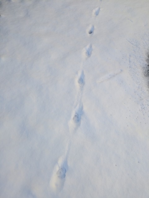 PXL_20251210_014336695