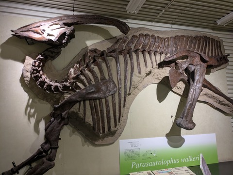 PXL_20251005_023339785