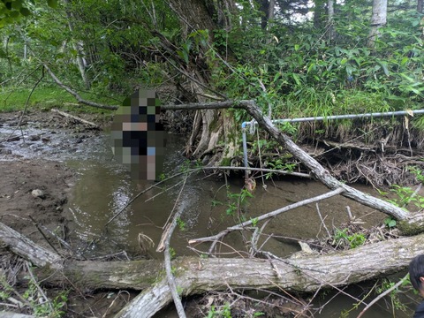 PXL_20250705_062507764