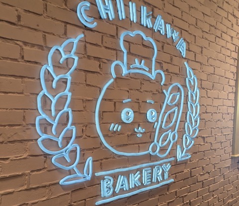 PXL_20251124_052325474~2