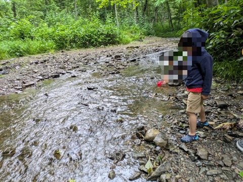 PXL_20240706_044812322