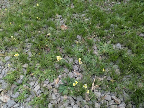 PXL_20250924_063841727