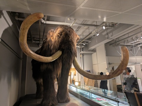 PXL_20251005_020627301