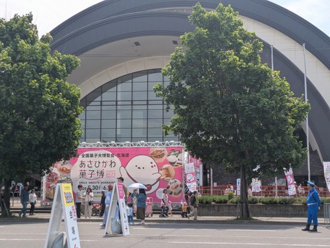 PXL_20250602_013040313