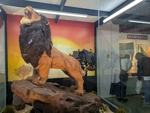 PXL_20250602_055430271