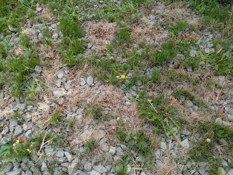 PXL_20250929_015721408