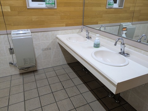 PXL_20250802_172557490