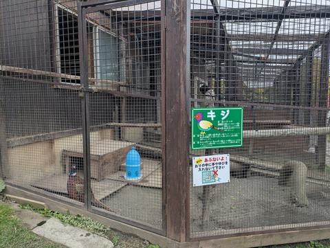 PXL_20251026_015947953