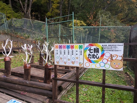 PXL_20251026_014041574