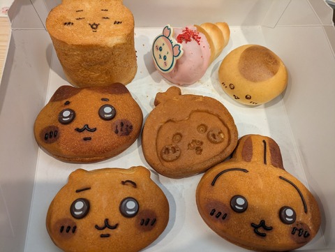 PXL_20251124_125637554