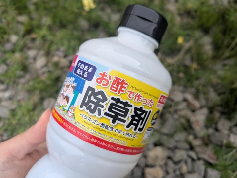 PXL_20250924_063829876