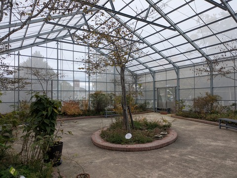 PXL_20251026_024254458