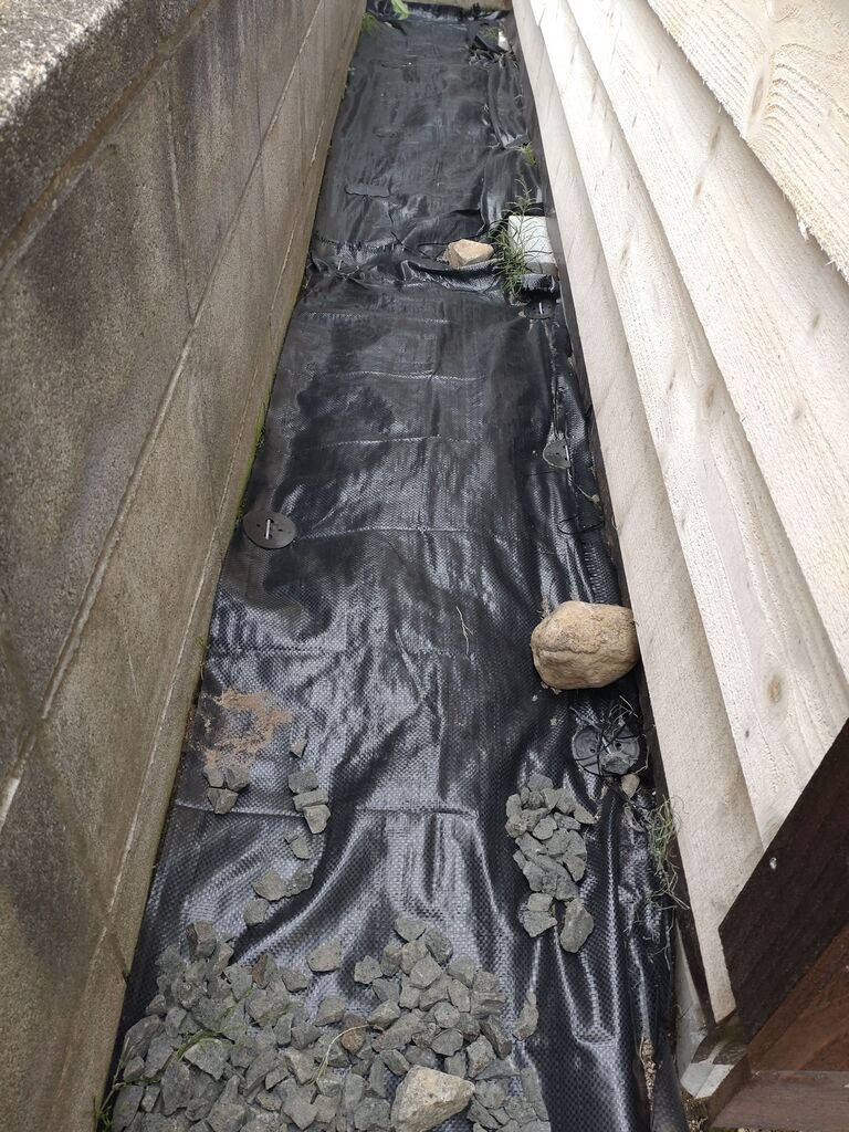 ダイソー防草シートの効果はいかに わたくしごと