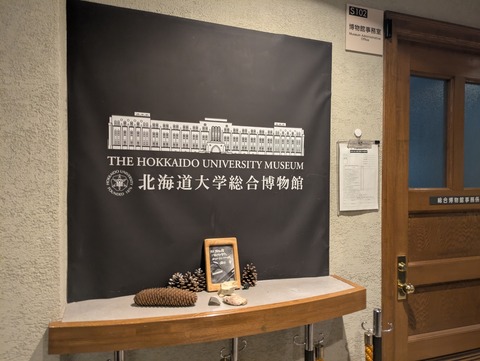 PXL_20251005_010554051