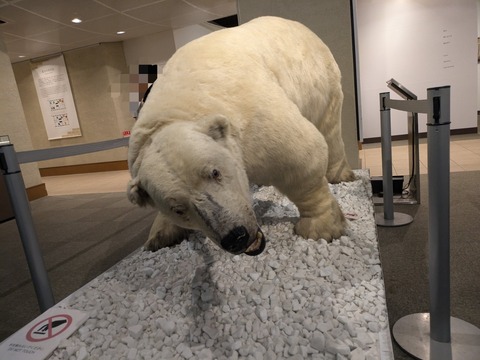 PXL_20251005_011326018